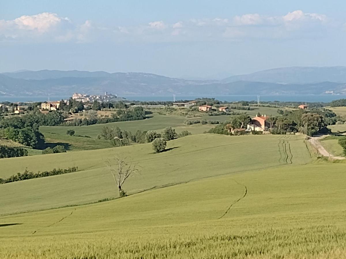 Casa La Selvella Villa Gioiella Eksteriør bilde
